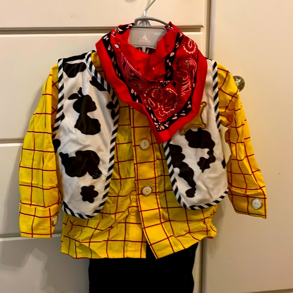 Disney woody toy story costume